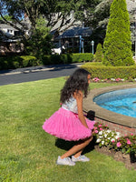Pretty Princess Pettiskirt
